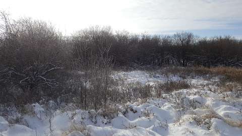 White Butte Ski Trails White Butte Ski Trails